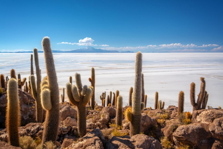 Bolivia Tour and Travels, Bolivia tourism