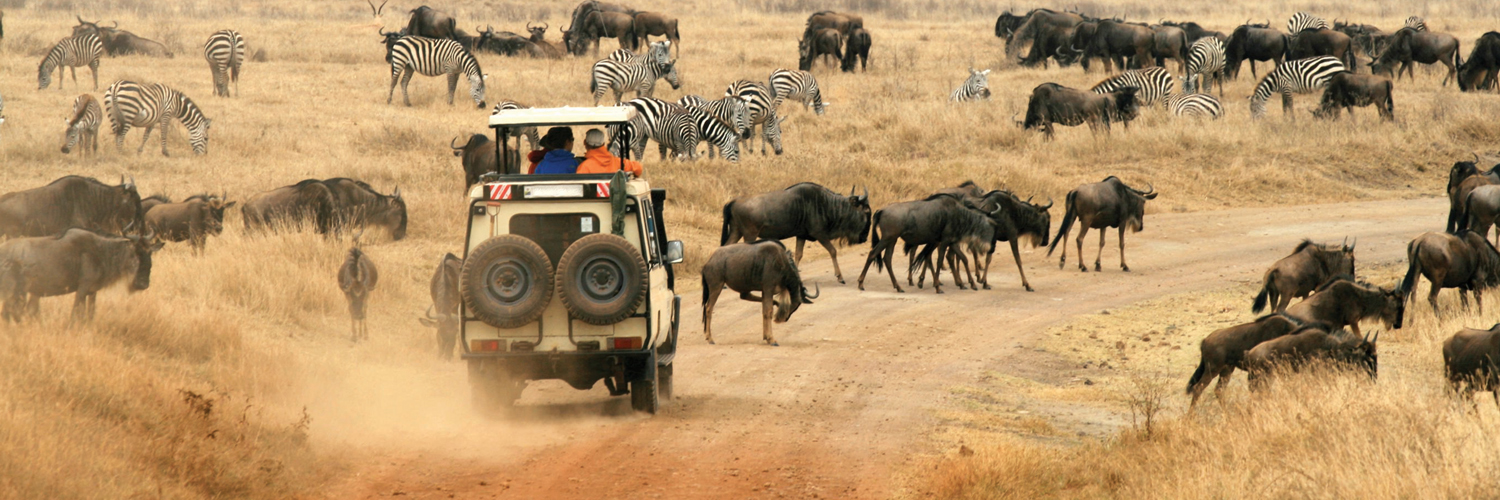 The  Equatorial Kenya Safari